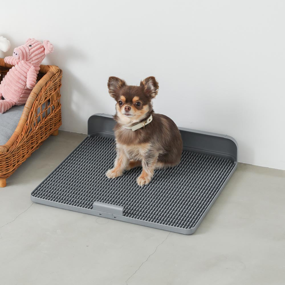 Non-seat eco pet toilet