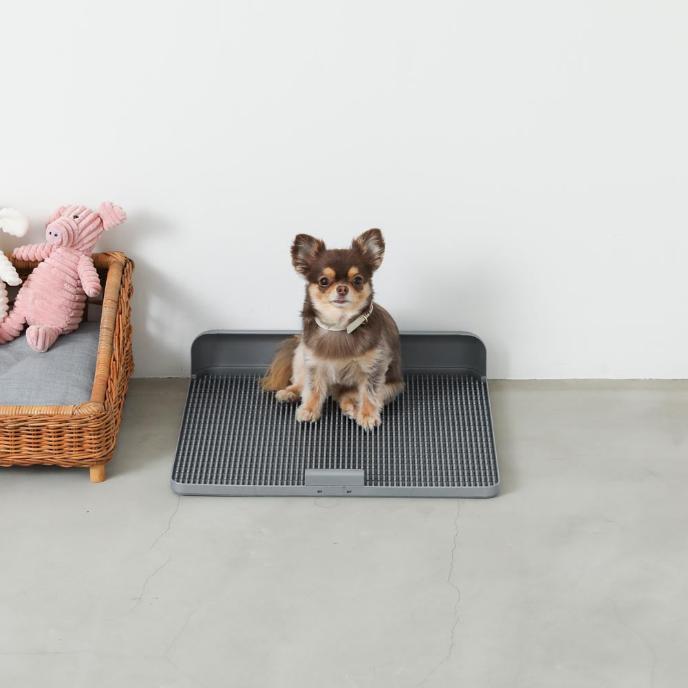 Non-seat eco pet toilet