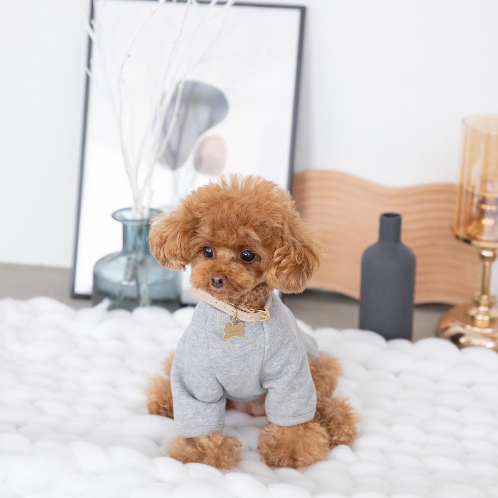 back ribbon sweat tops