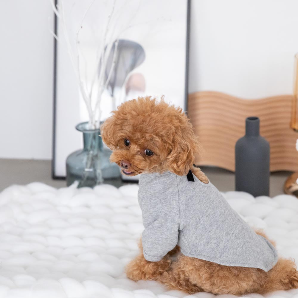 back ribbon sweat tops