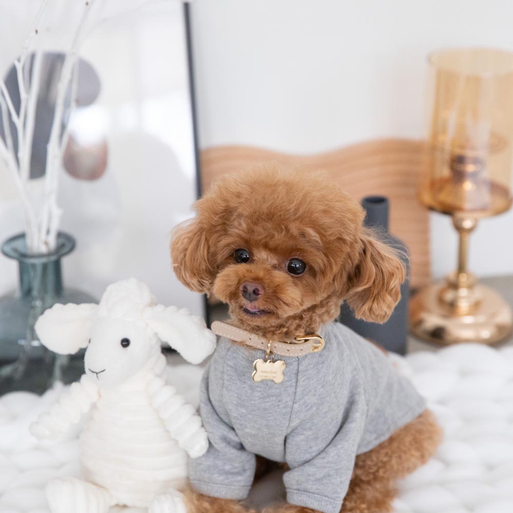 back ribbon sweat tops