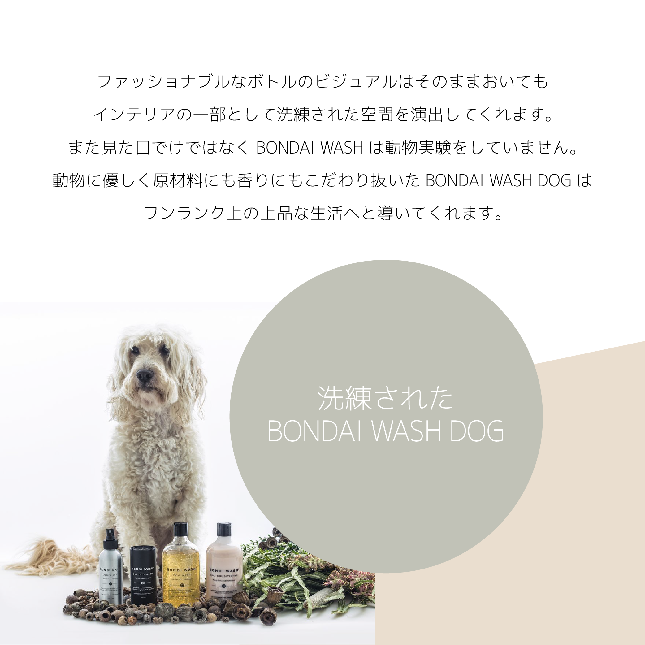 BONDI dog conditioner