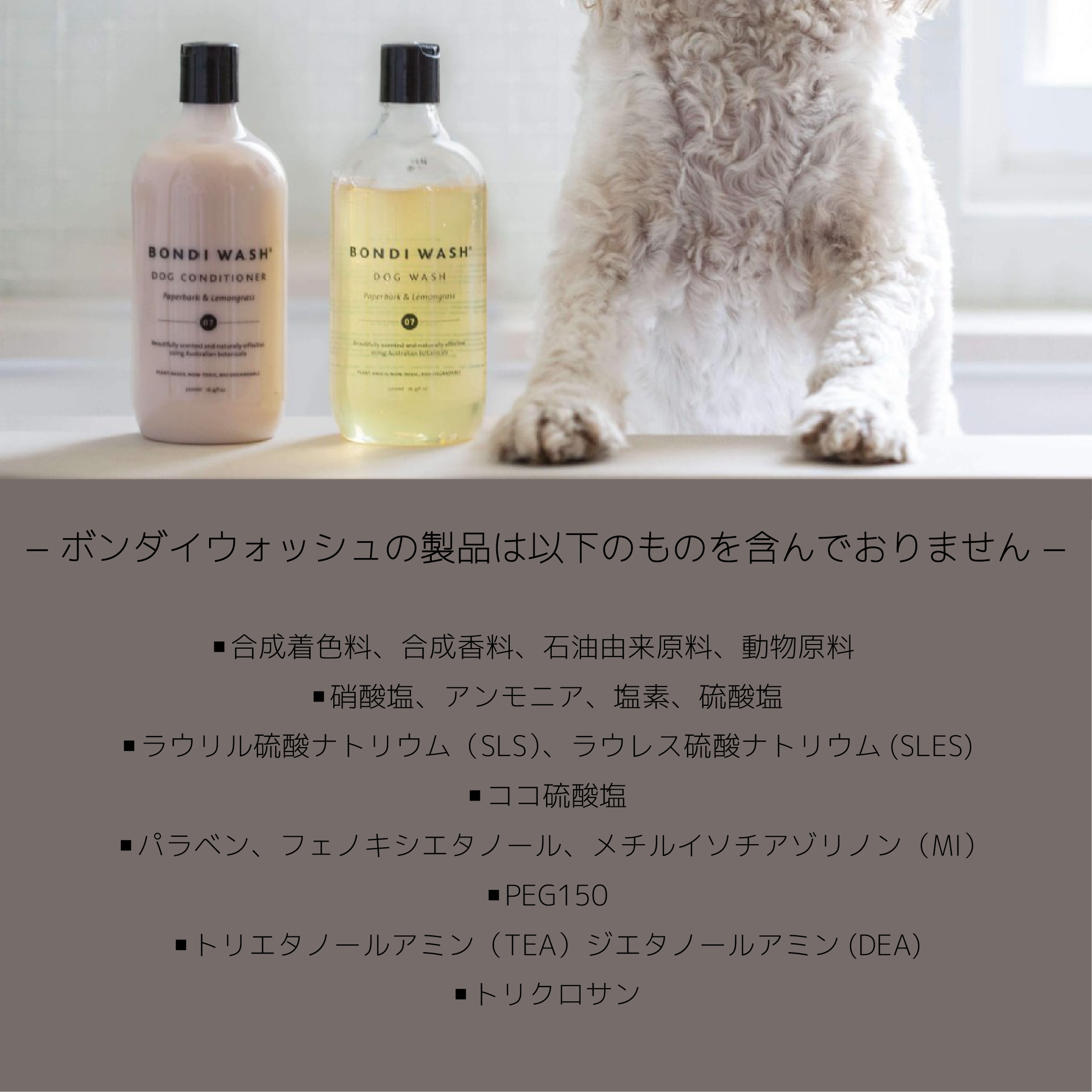BONDI dry dog wash