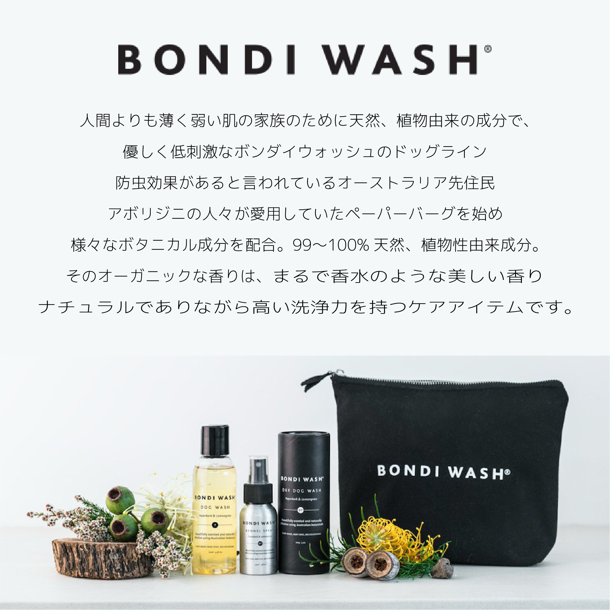 BONDI dry dog wash