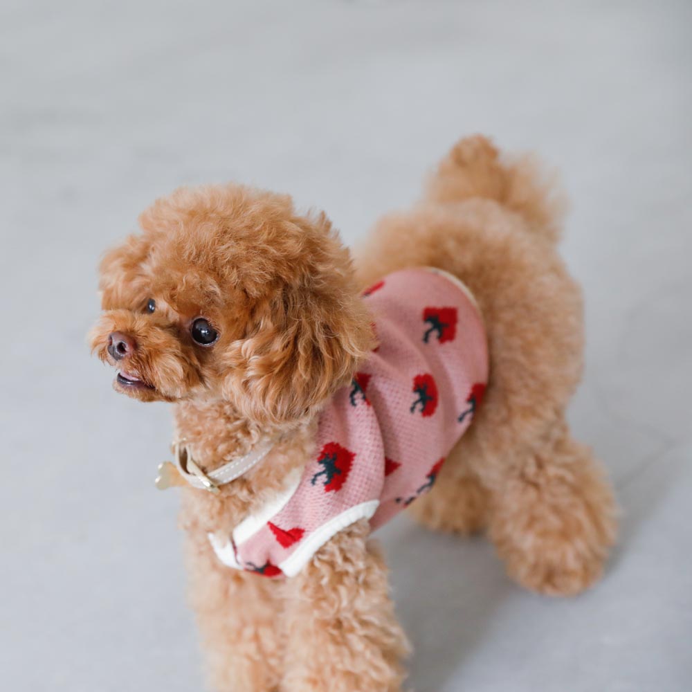 strawberry knit vest jacket