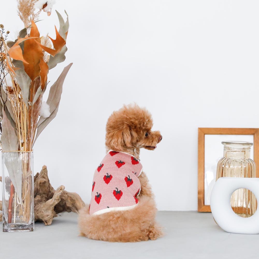 strawberry knit vest jacket