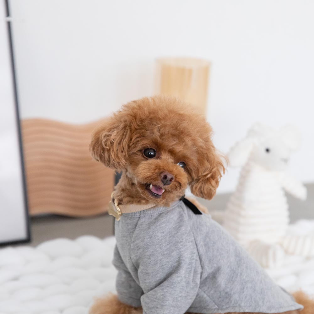 back ribbon sweat tops