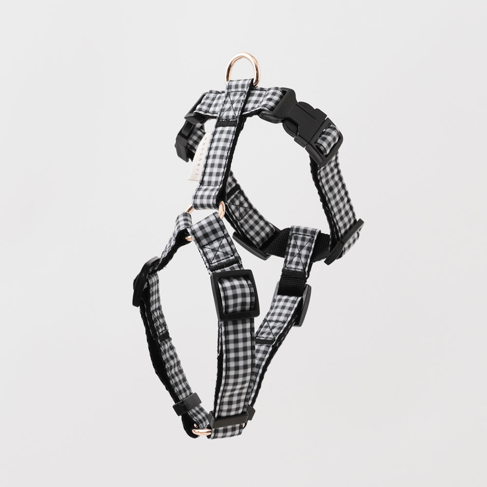 Gingham check harness + lead set [Name embroidery available]
