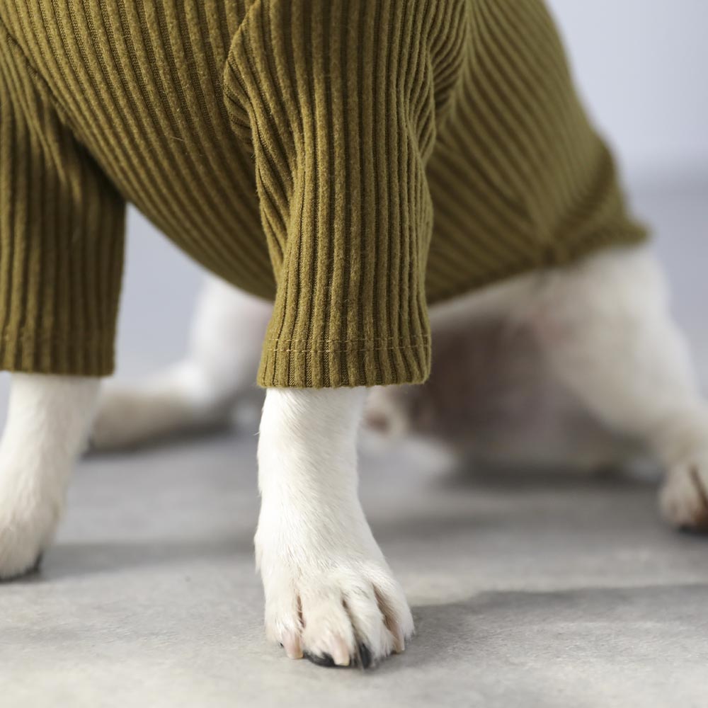 简单罗纹高领上衣