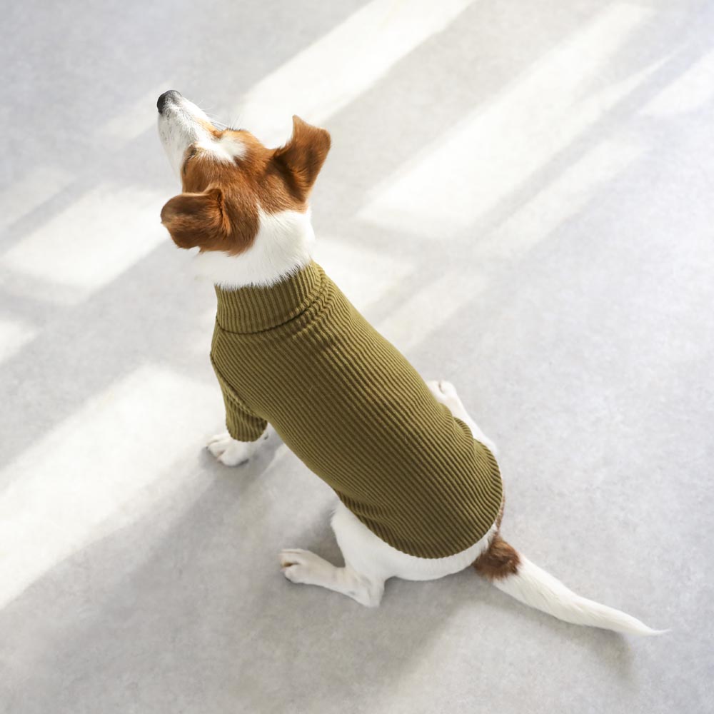 简单罗纹高领上衣