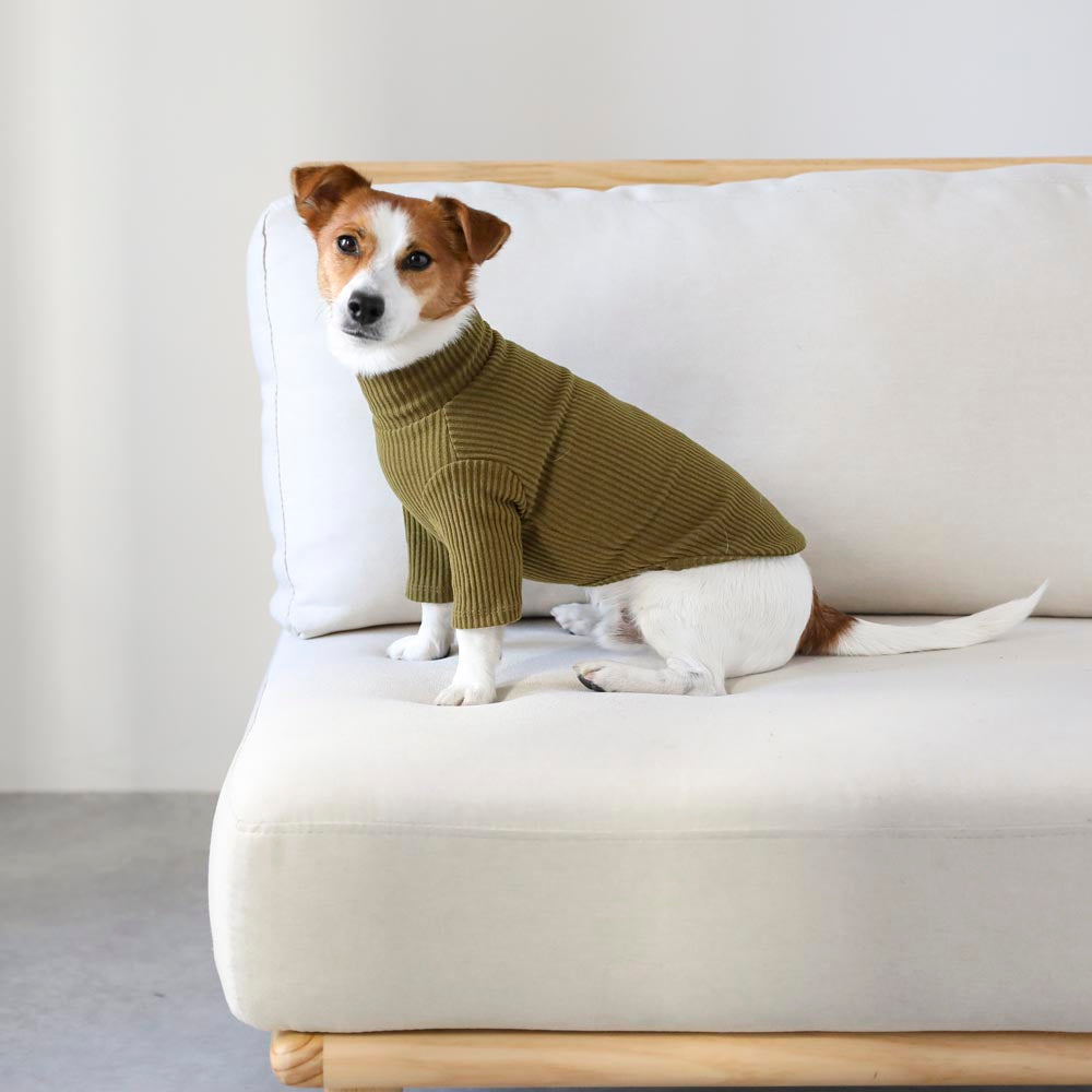 简单罗纹高领上衣