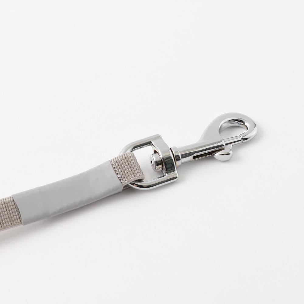 ring light lead