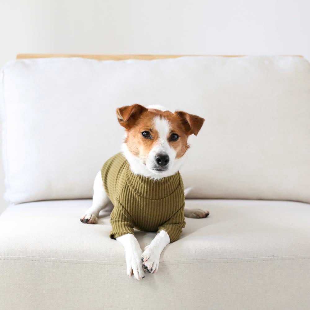 简单罗纹高领上衣