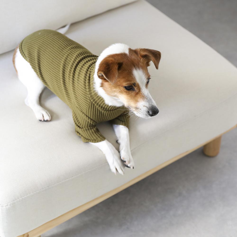 简单罗纹高领上衣