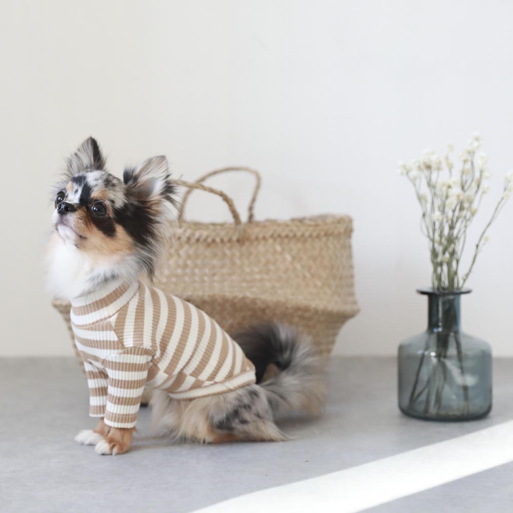 Single border ribbed high neck top