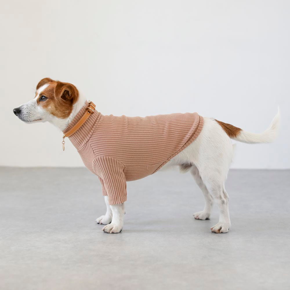 简单罗纹高领上衣