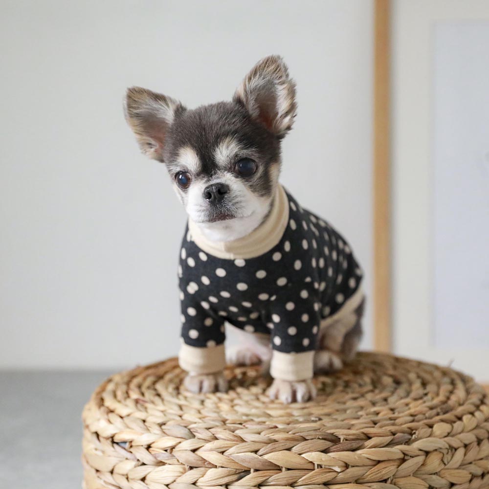 color dot sweatshirt