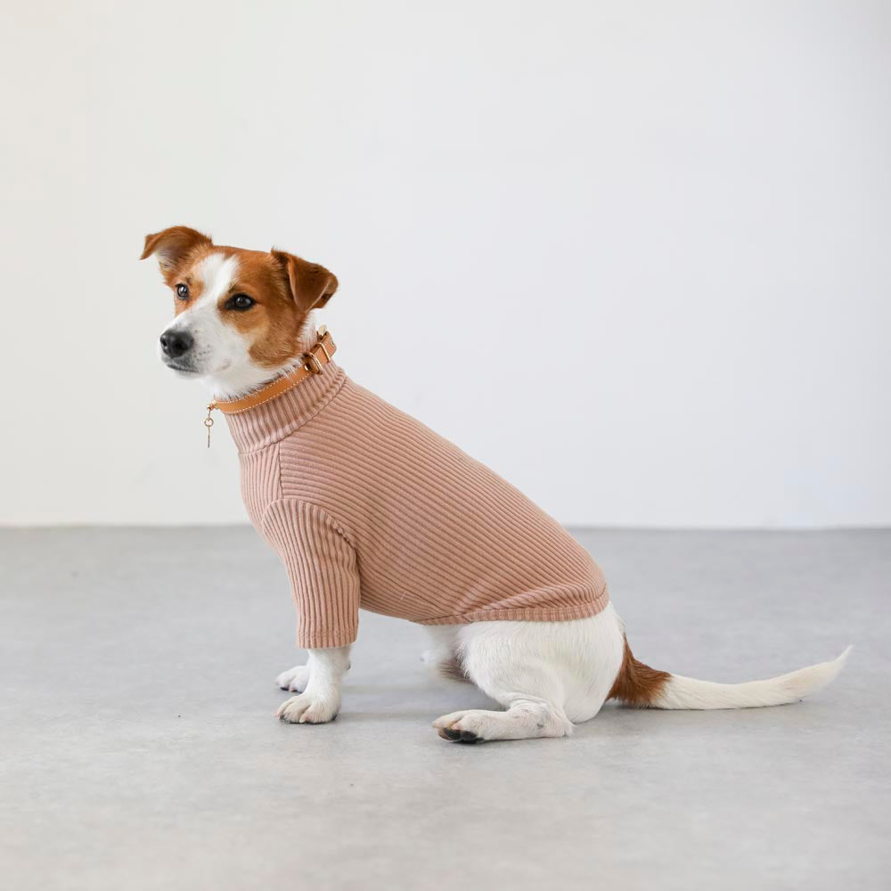 简单罗纹高领上衣