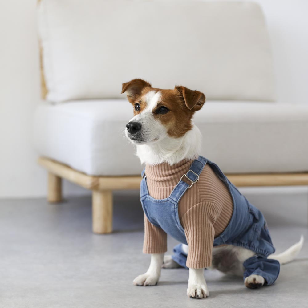 简单罗纹高领上衣