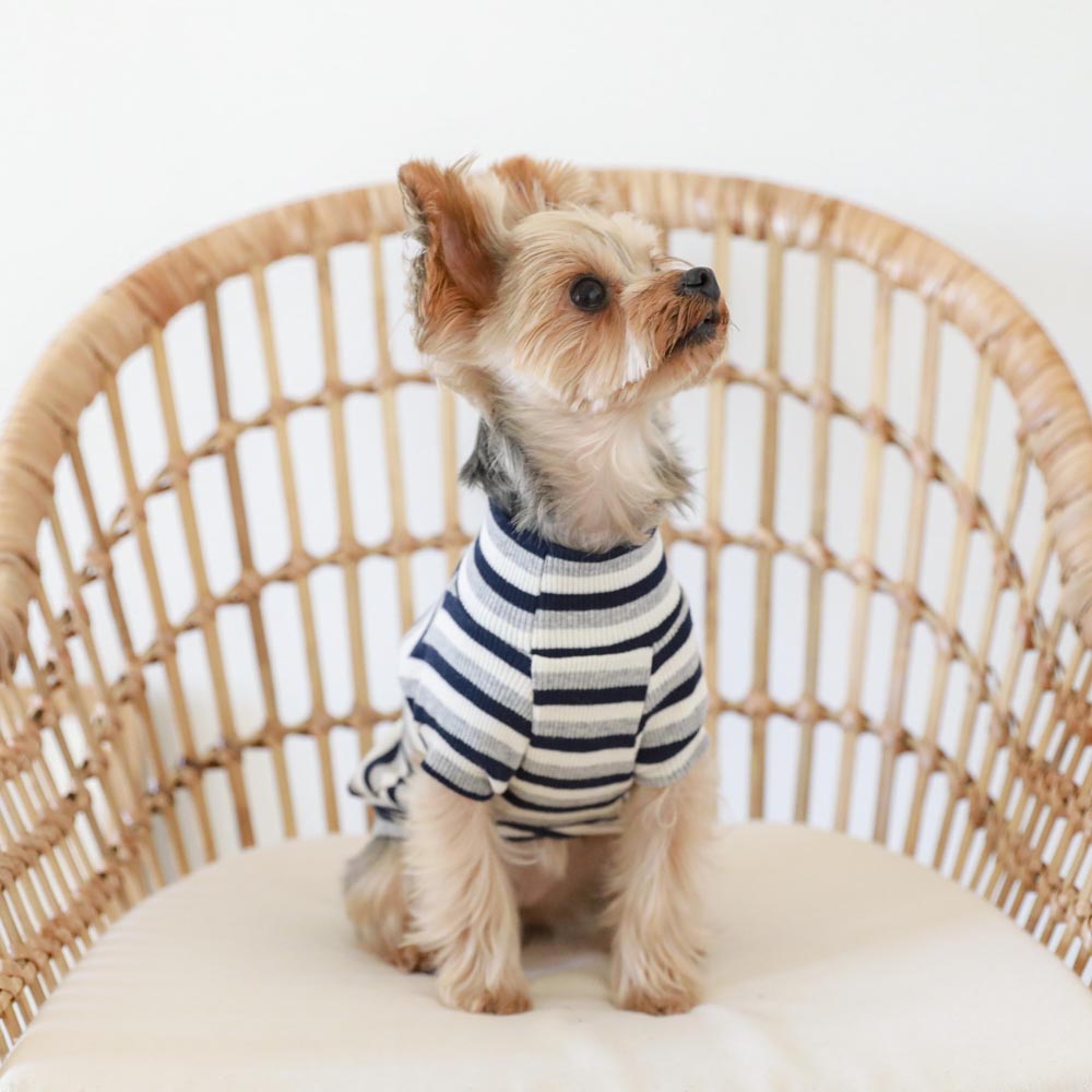 3 color border rib high neck tops