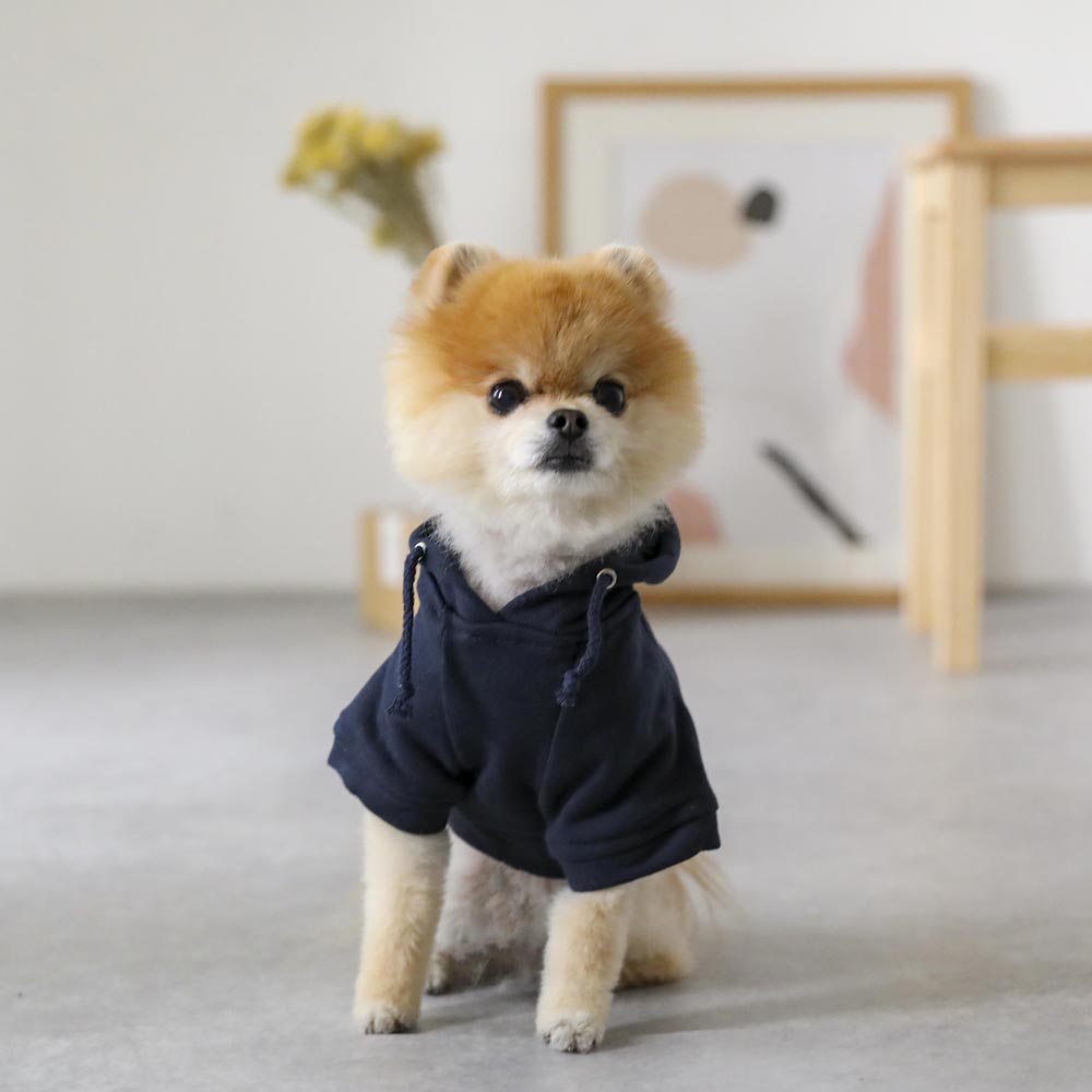 裏毛フーディー
