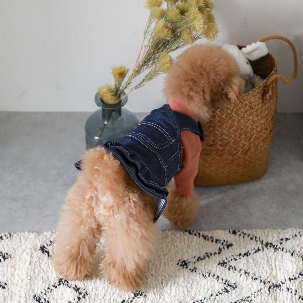 denim jumper skirt