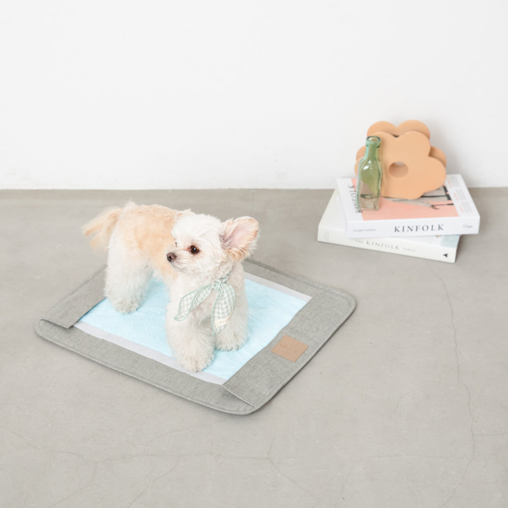 Magnetic detachable pet toilet seat