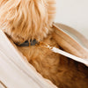 Open fastener pet carry bag