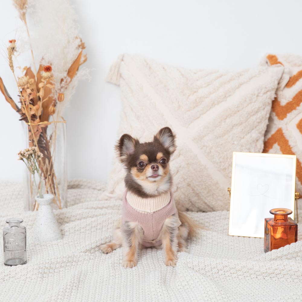 バイカラータートルニット