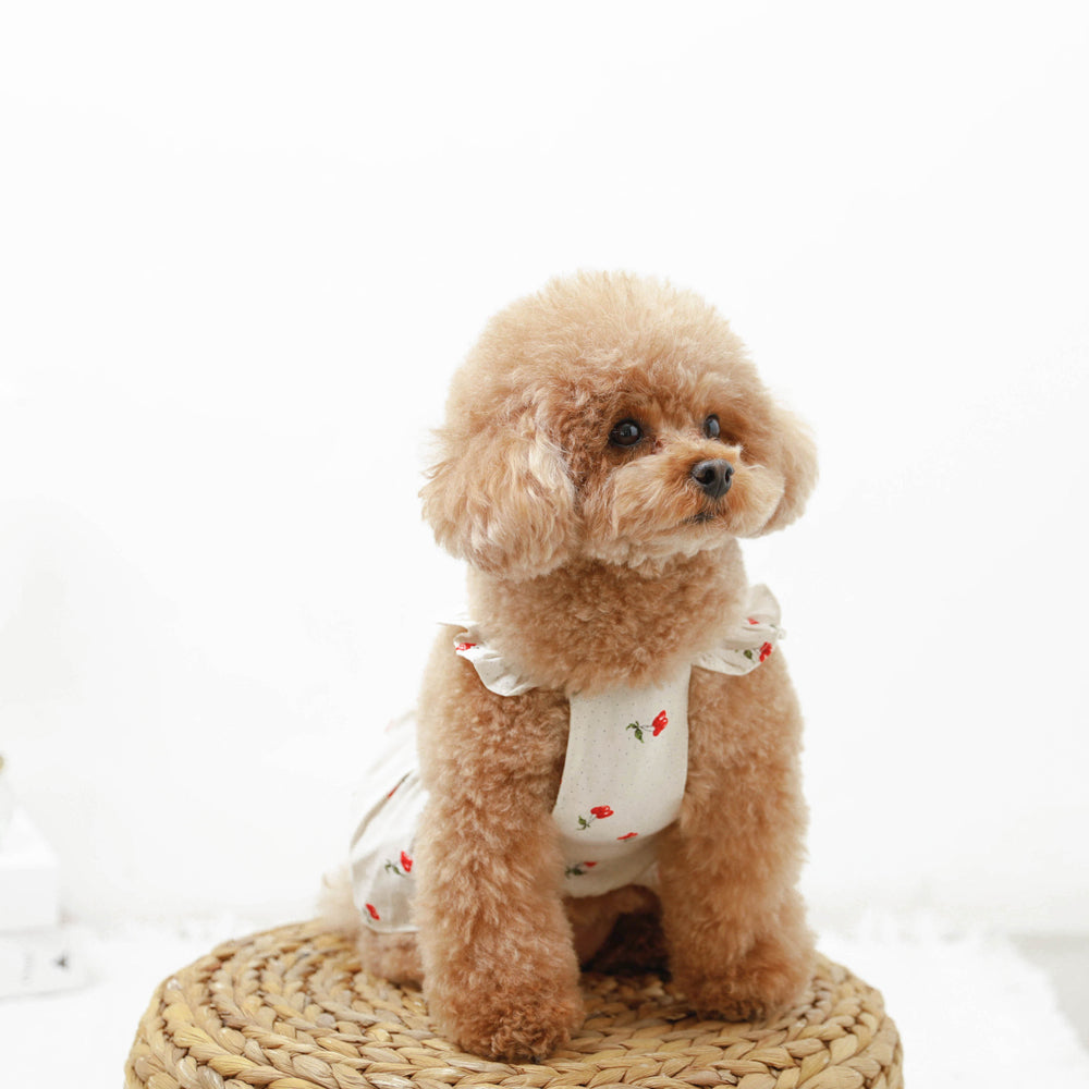 Cool cherry dot frill dress