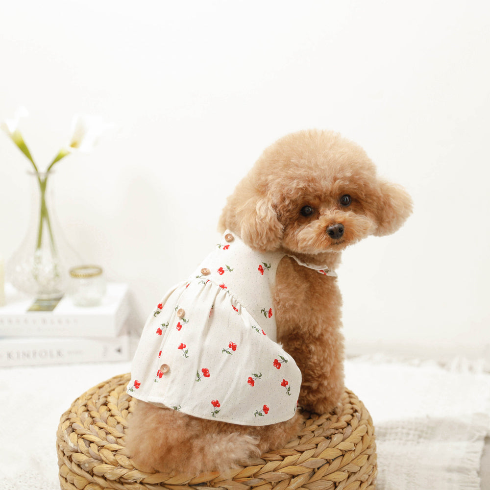 Cool cherry dot frill dress