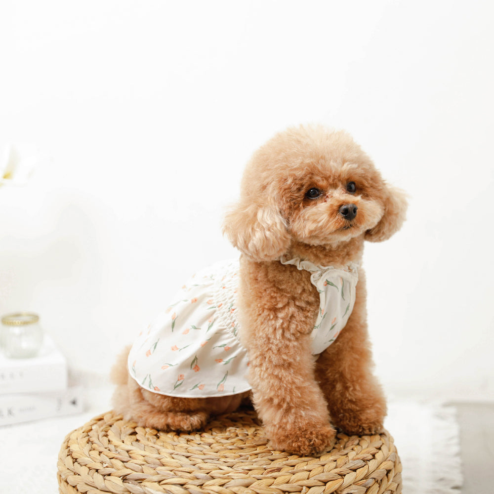 Cool tulip pattern gathered shirring dress