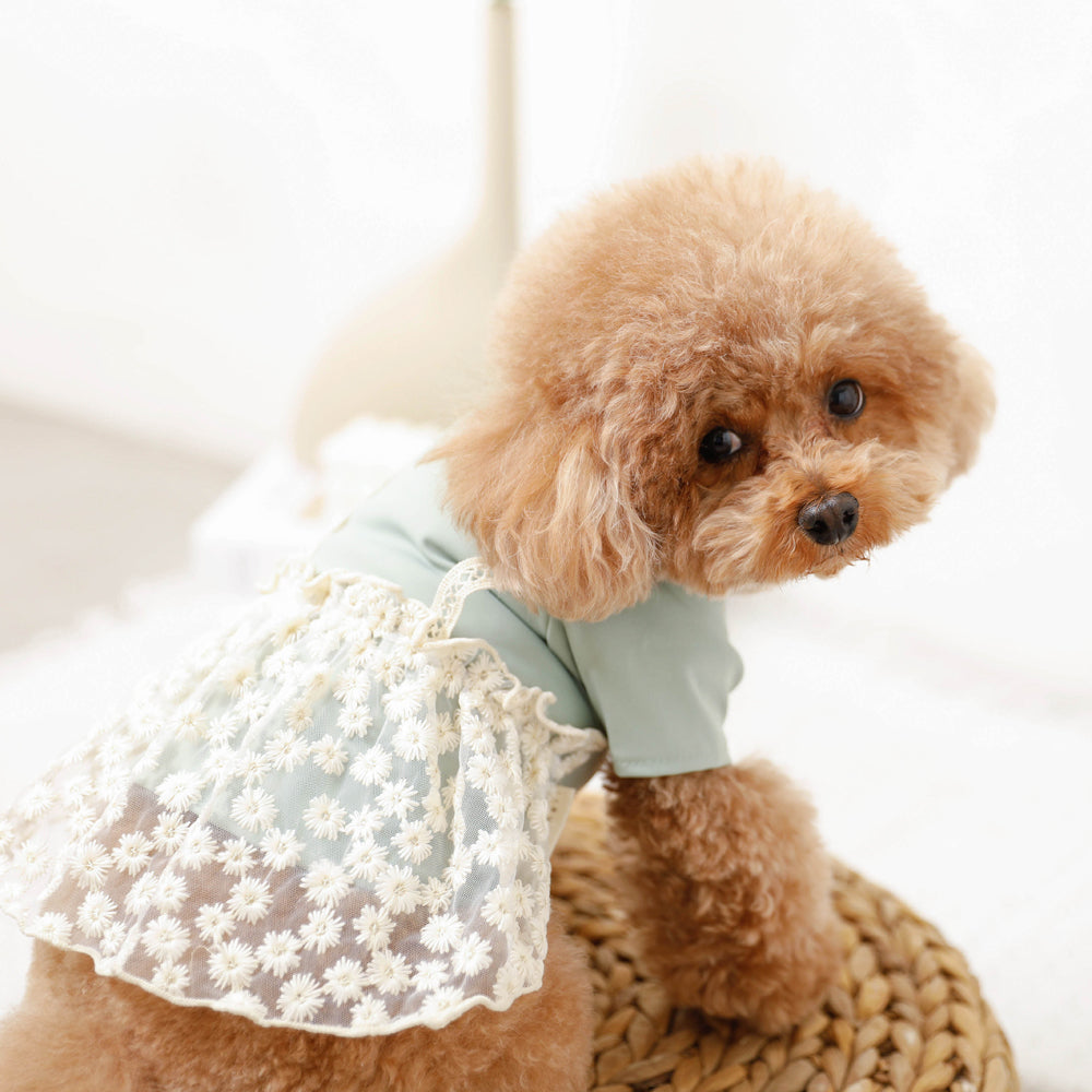 冷感フラワー刺繍トップスワンピース