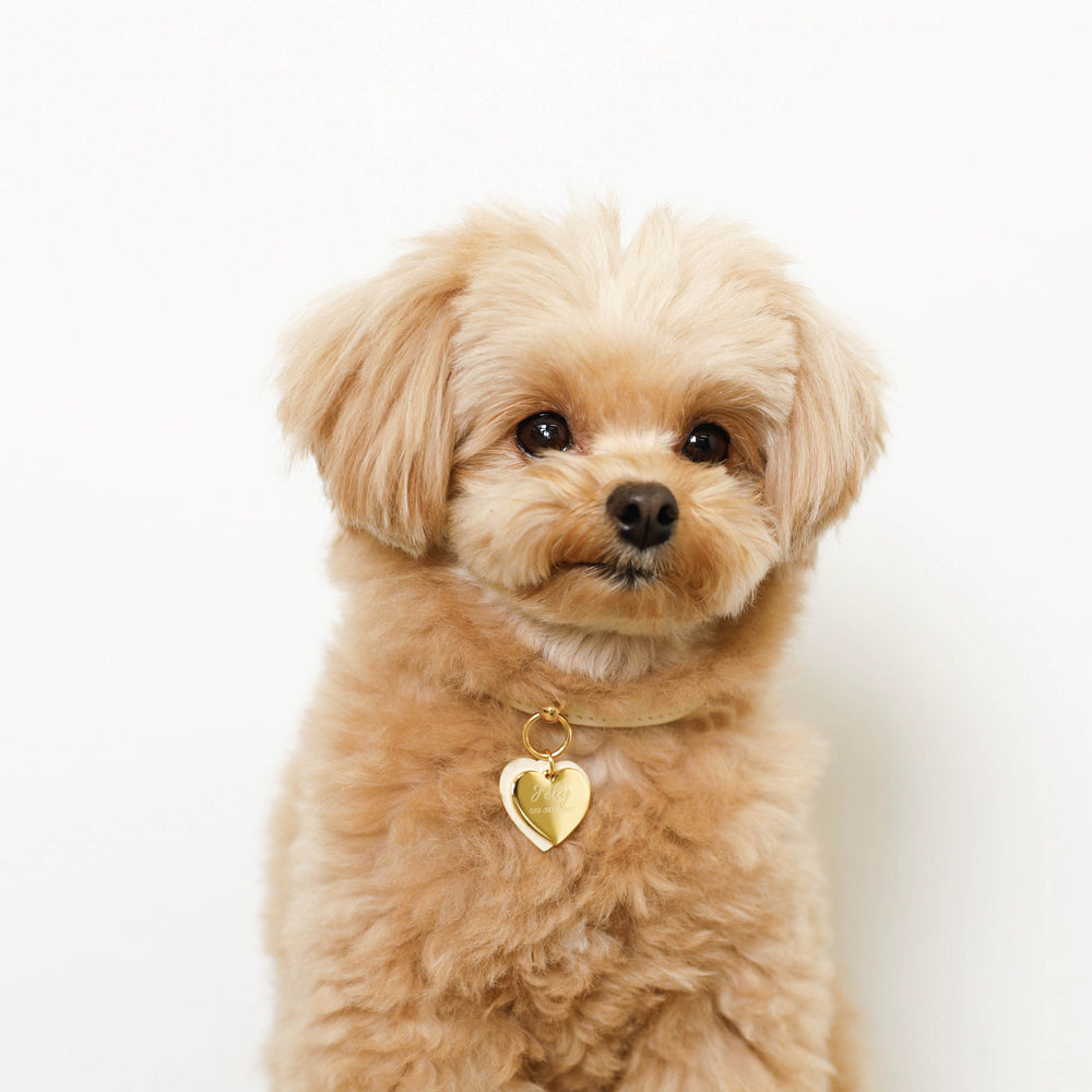 Heart charm leather color [Compatible with name engraving]