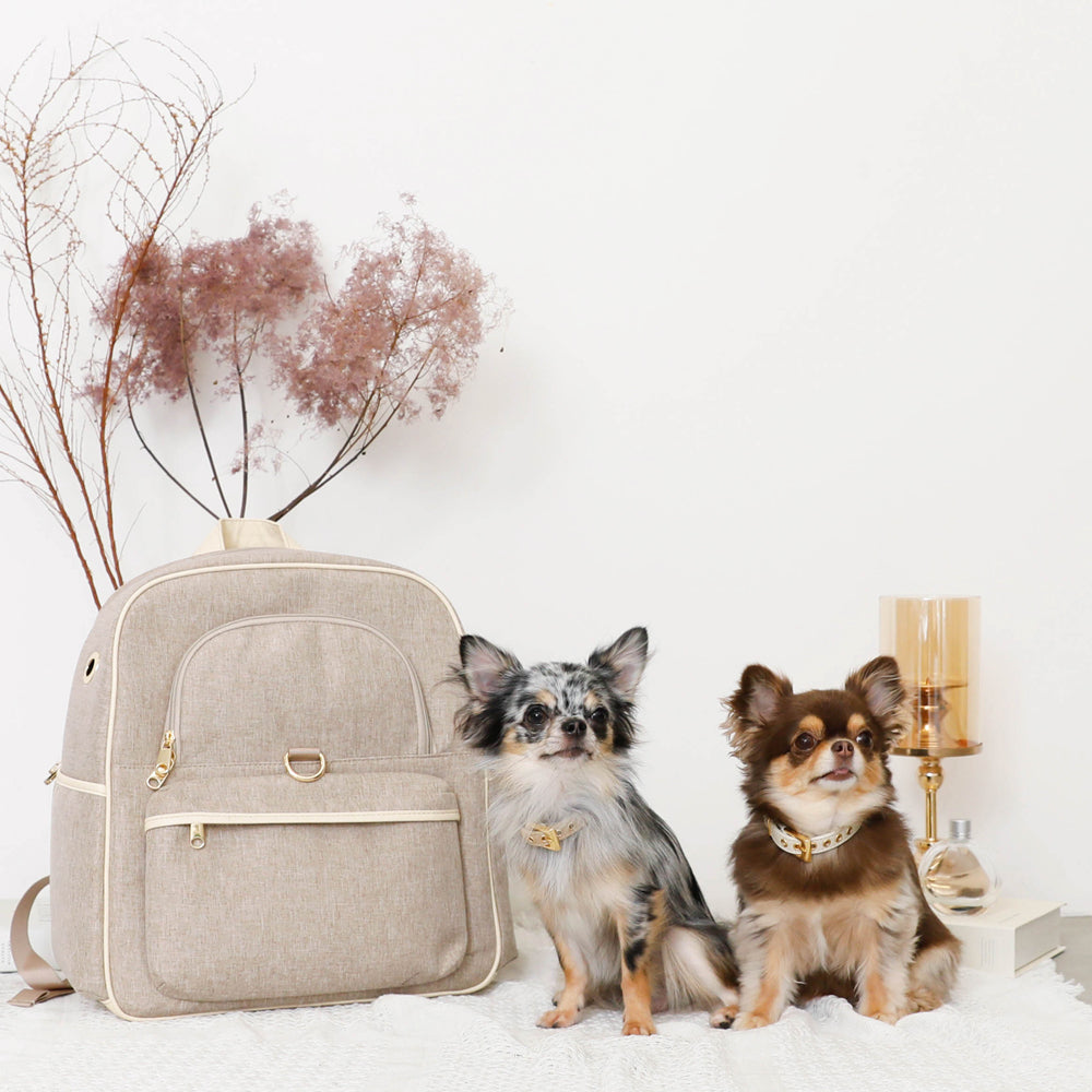 パイピングリュックキャリー