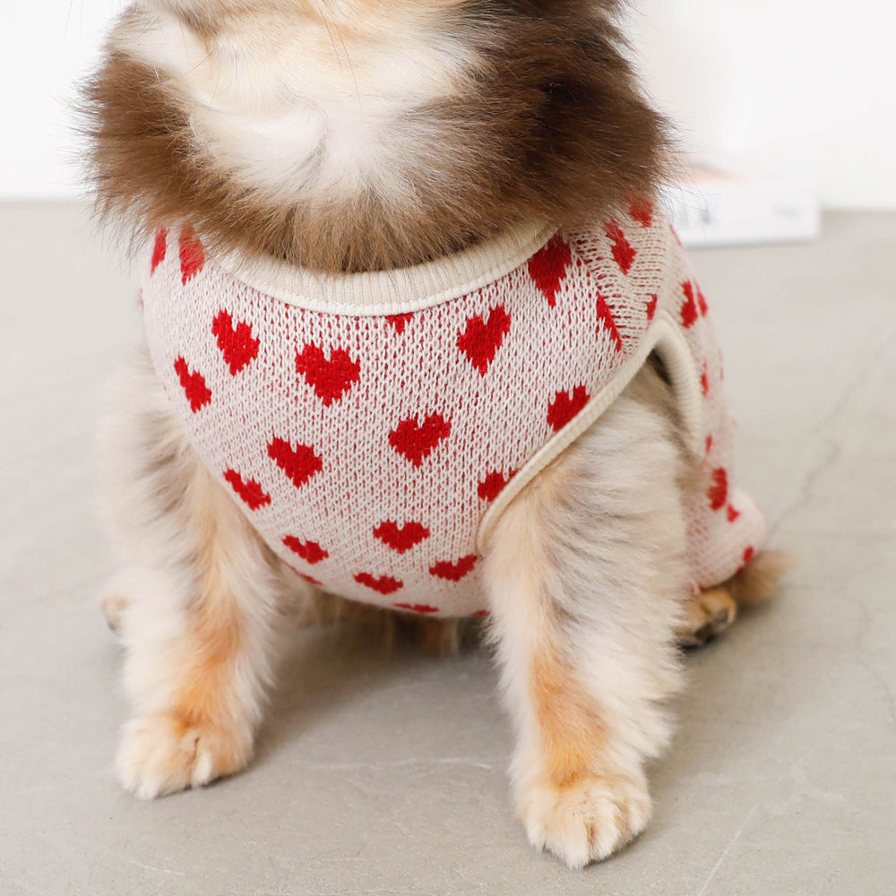 Heart pattern 2way reversible vest