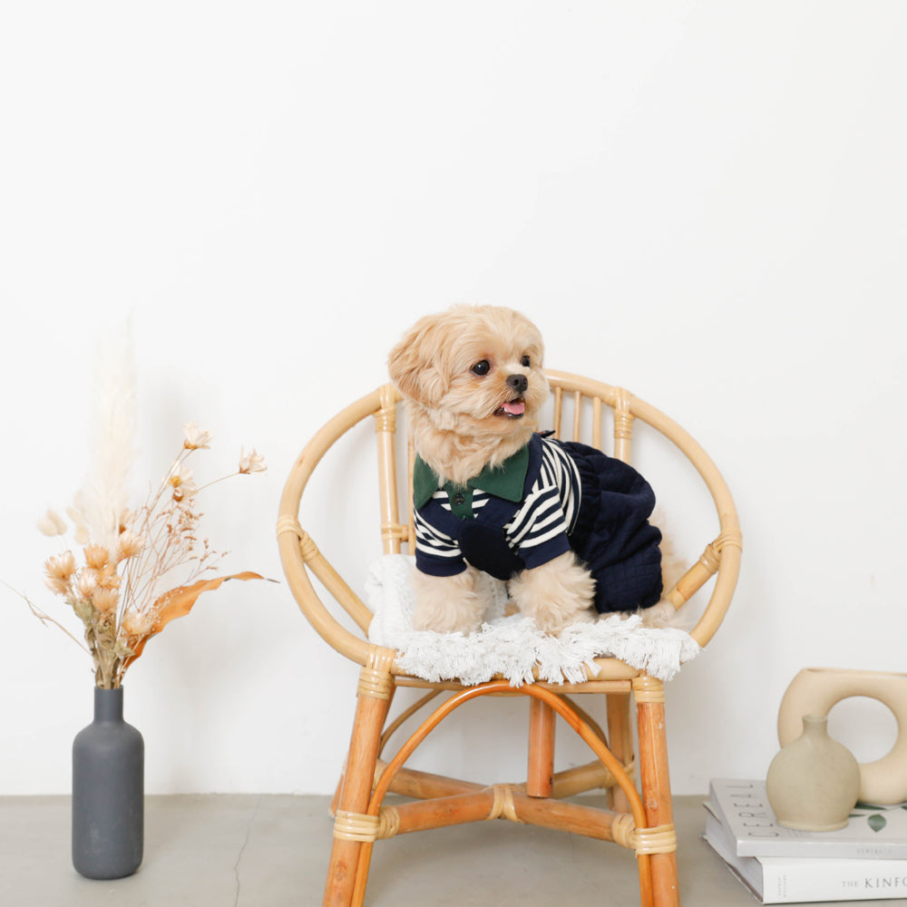 绗缝南瓜裤