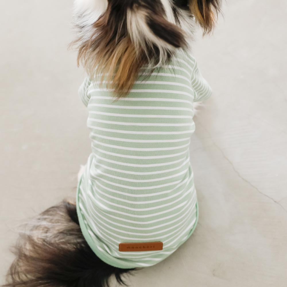 ボーダーカラーTシャツ