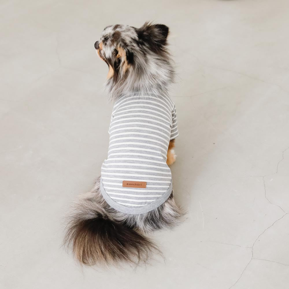 ボーダーカラーTシャツ