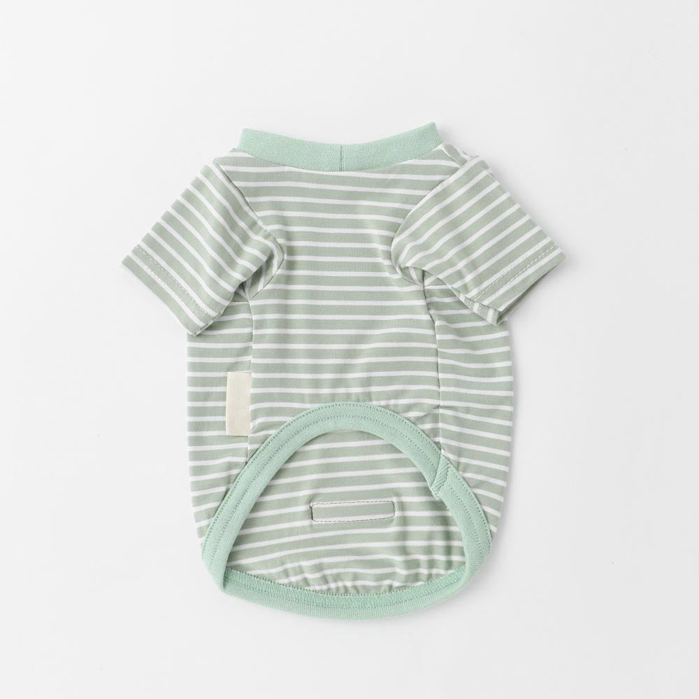 ボーダーカラーTシャツ