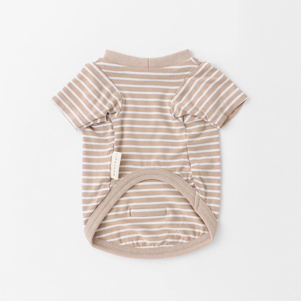 ボーダーカラーTシャツ